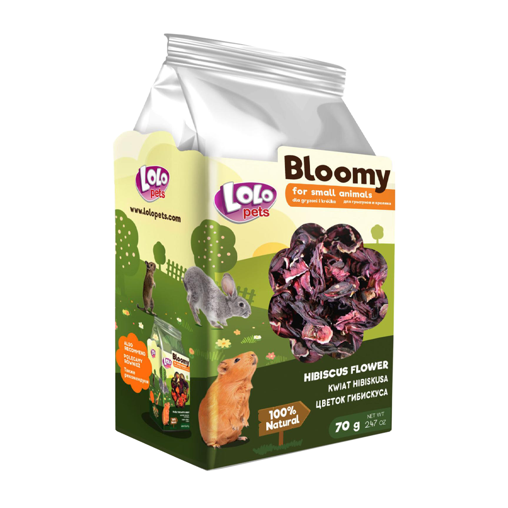 Bloomy Hibiscusblomma Gnagare - 70 G | Endast 89 kr! - Zoogiganten