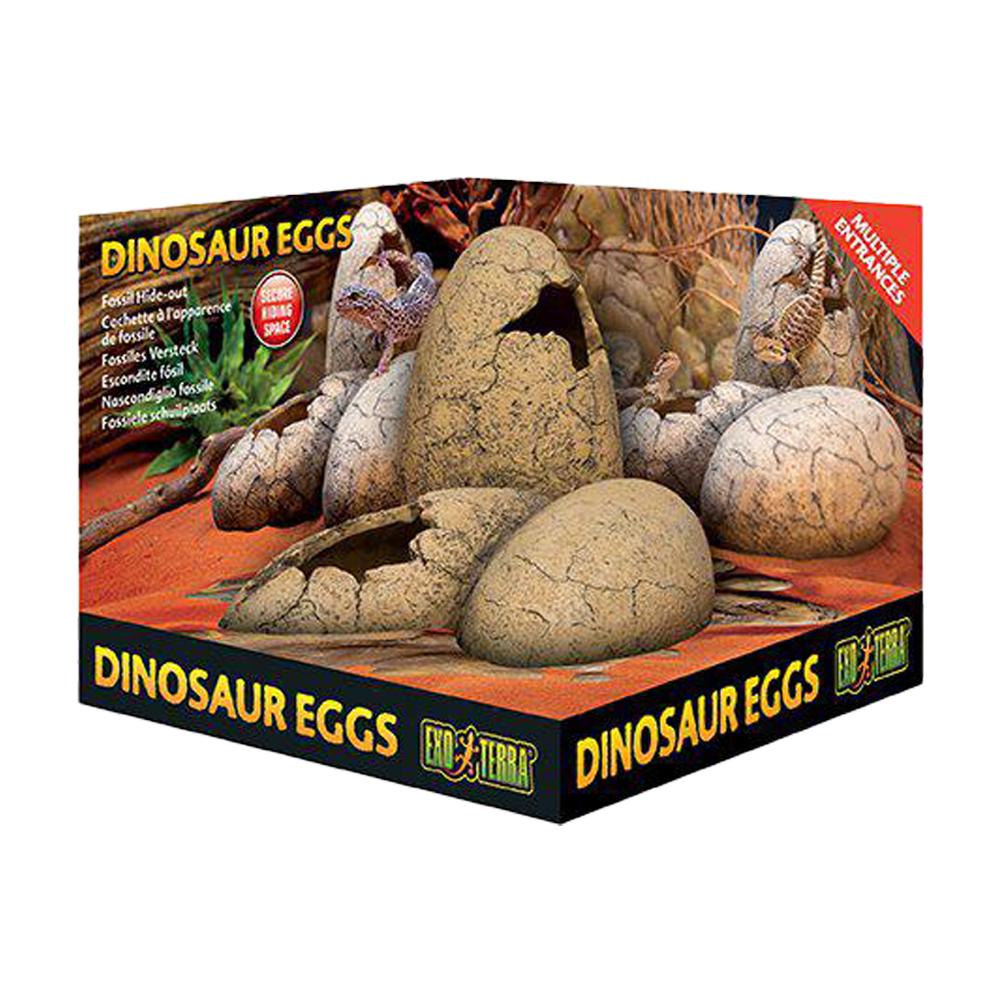 Exoterra Grotta Dinosaurie Ägg | Endast 319 kr! - Zoogiganten