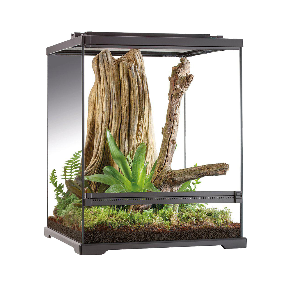 Terrarium Exoterra Tree Frog Tall - 45X45X60 CM | Endast 3169 kr! - Zoogiganten