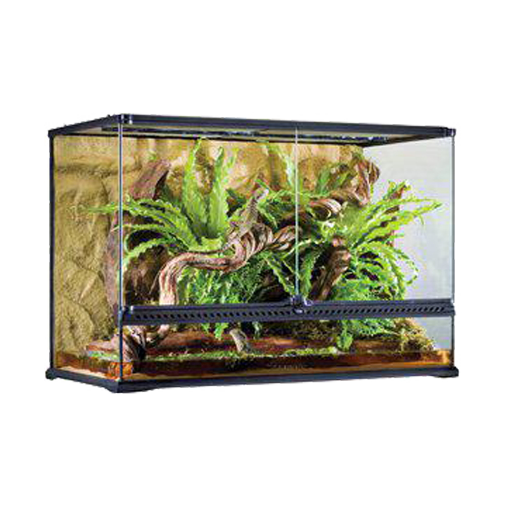 Terrarium Exoterra L Tall - 90X45X60 CM | Endast 5299 kr! - Zoogiganten