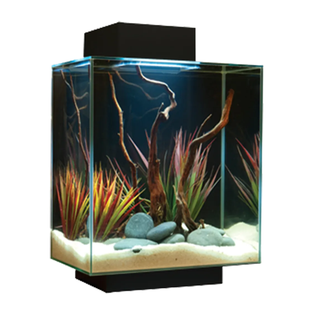 Fluval Edge LED Svart - 46 L | Endast 4149 kr! - Zoogiganten