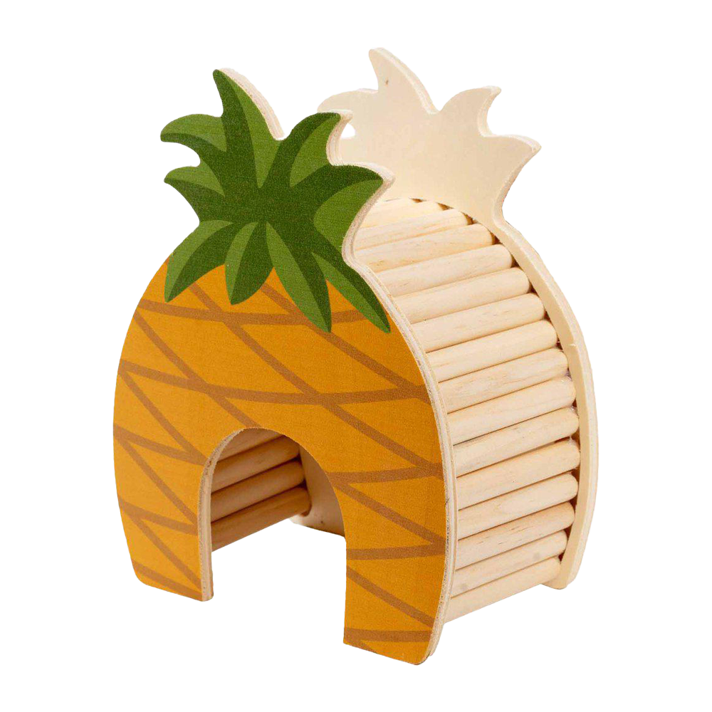 Gnagarhus Ananas - 14X8,7X18 CM | Endast 189 kr! - Zoogiganten