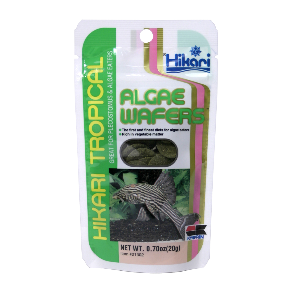 Hikari Algae Wafers - 20 G | Endast 45 kr! - Zoogiganten