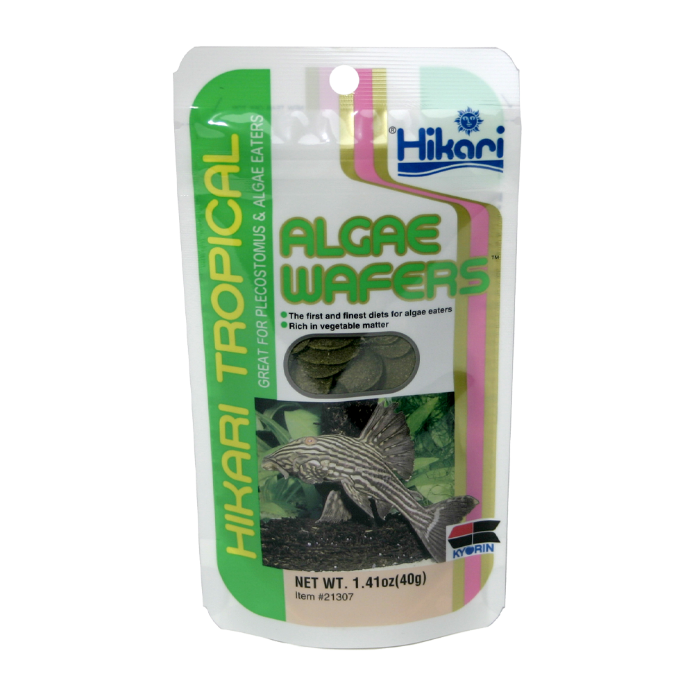 Hikari Algae Wafers - 40 G | Endast 59 kr! - Zoogiganten