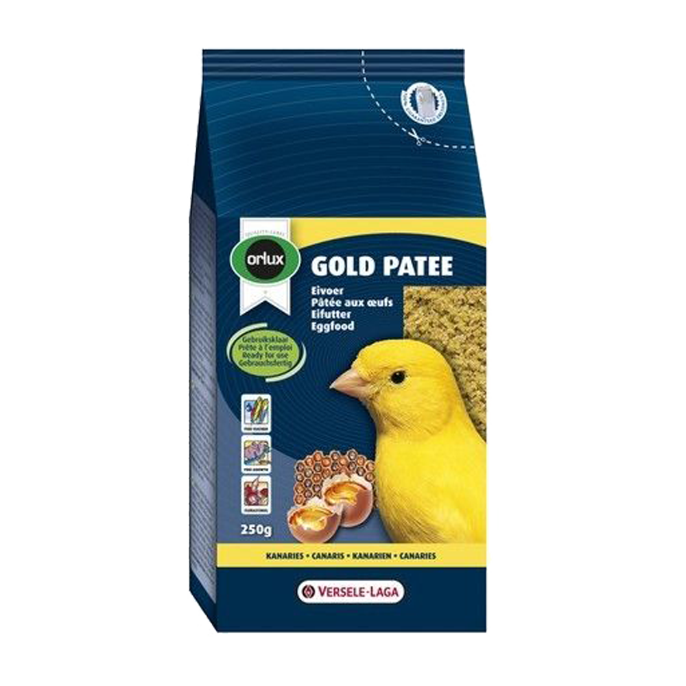 Golde Patee Kanarie | Endast 69 kr! - Zoogiganten