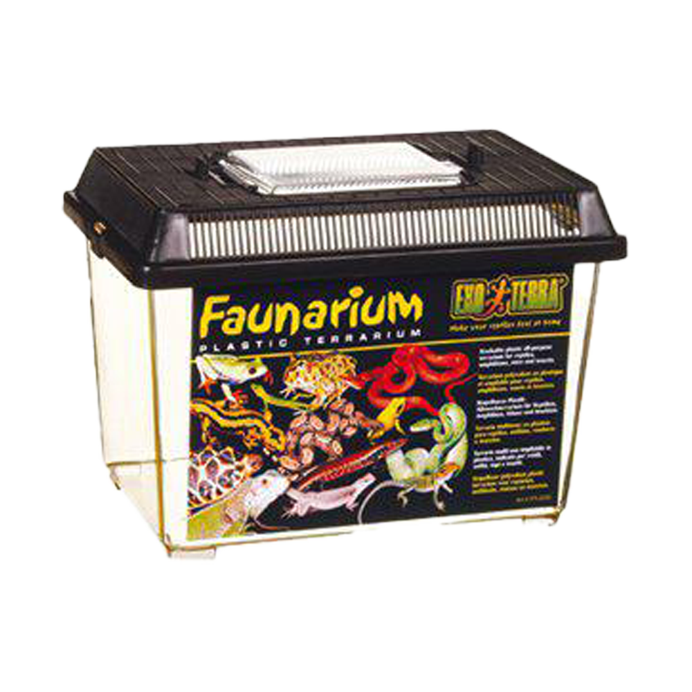 Plast Terrarium Small - 23X15.3X16.5 CM | Endast 119 kr! - Zoogiganten