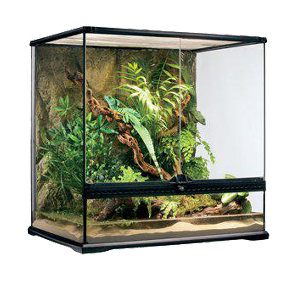 Terrarium Exoterra M Tall - 60X45X60 CM | Endast 3449 kr! - Zoogiganten