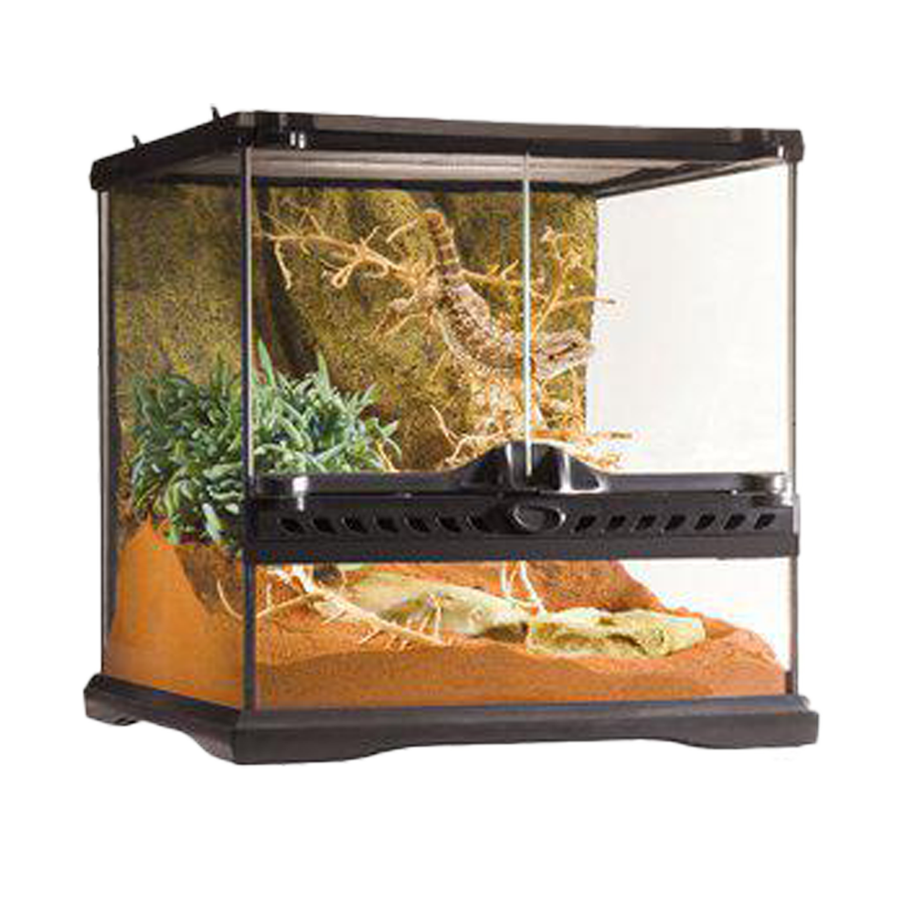 Terrarium Exoterra Mini Wide - 30X30X30 CM | Endast 1119 kr! - Zoogiganten