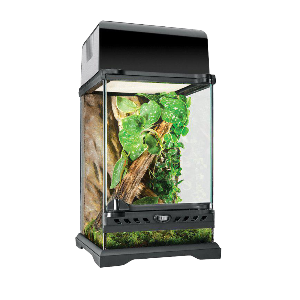 Terrarium Exoterra Nano Tall - 20X20X30 CM | Endast 799 kr! - Zoogiganten