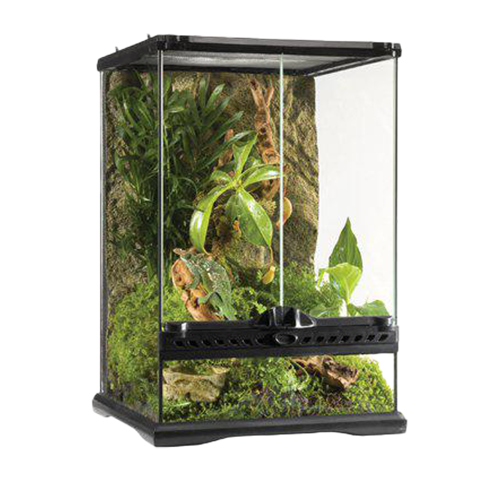 Terrarium Exoterra Mini Tall - 30X30X45 CM | Endast 1219 kr! - Zoogiganten